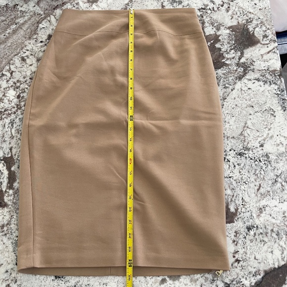 Express Pencil Skirt, Zipper detail - Picture 2 of 12